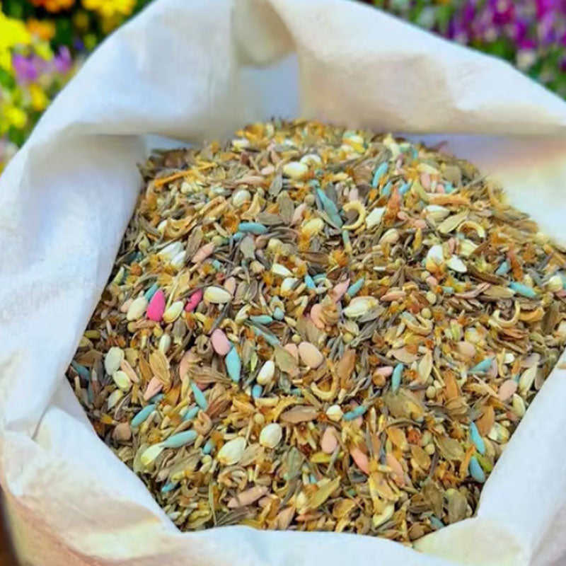 🔥Poslední den prodeje💐Smíšená semena trvalek - přes 60 různých odrůd