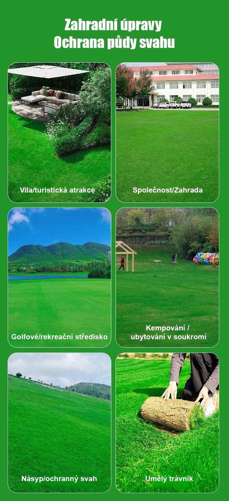7denní klíčení travní semena