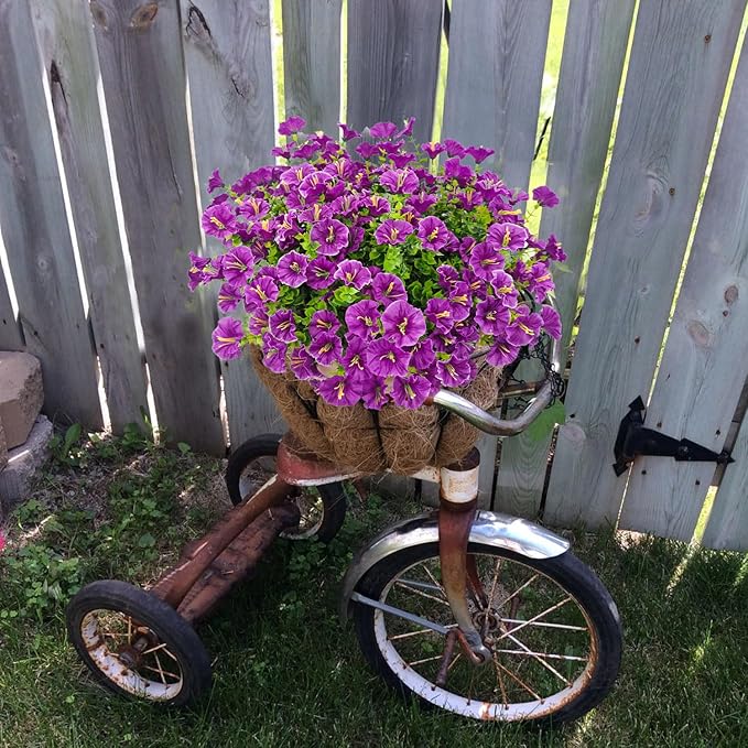 💥Vylepšený materiál nejvyšší kvality 🌸Svlačec odolný vůči UV záření a neblednoucí (bez květináče)
