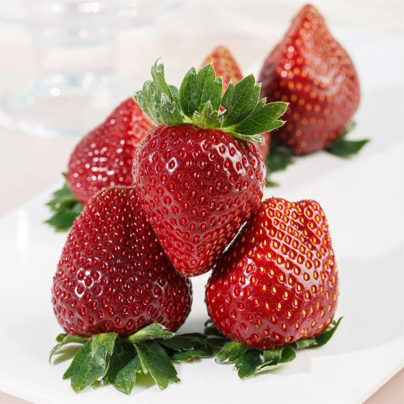 Semena jahody Black Pearl