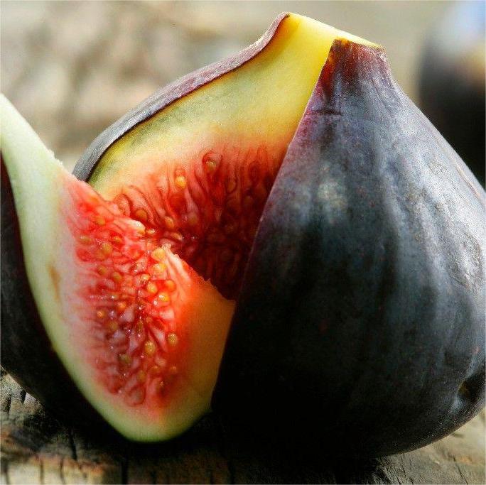 Semínka fíků SweetHarvest
