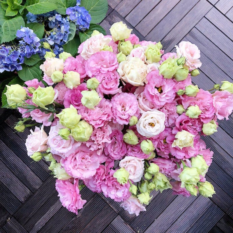🔥Poslední den prodeje💝Eustoma Rose Thornless💐Lisianthus Seeds