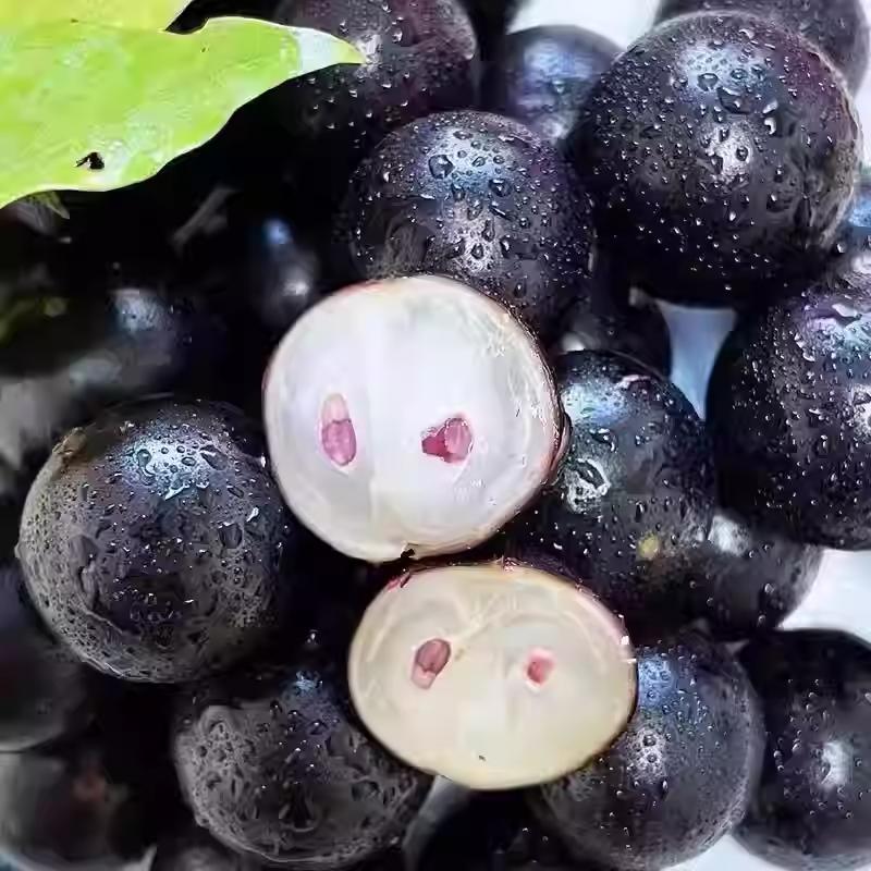 Jabuticaba hroznová semínka