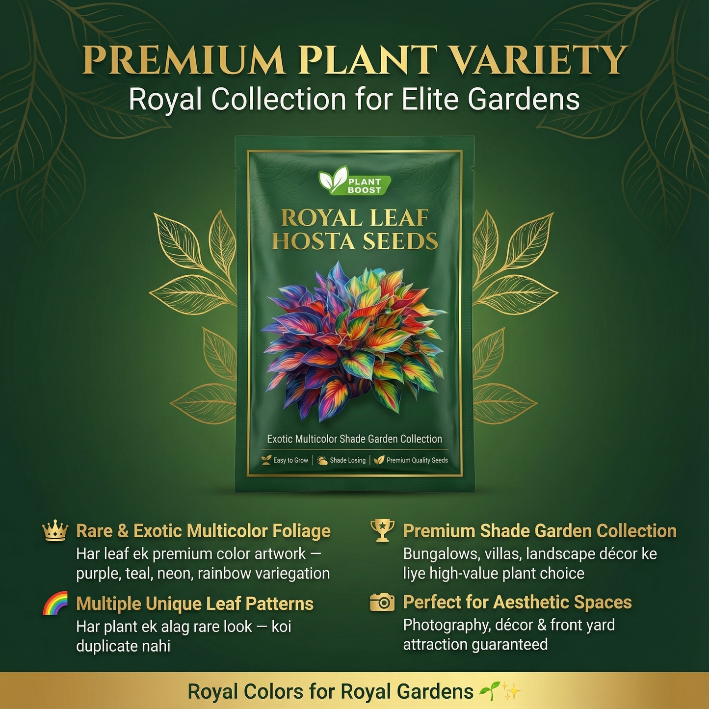 Nasiona hosty Royal Leaf
