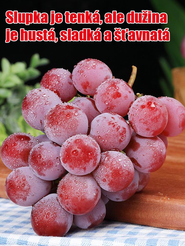 【S vůní vína】Semena hroznů královny Niny