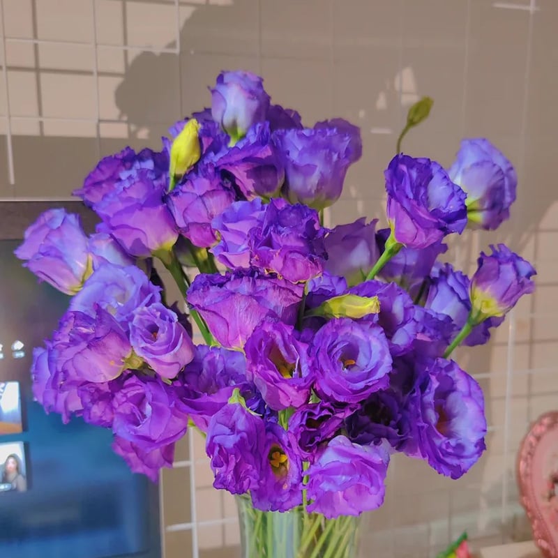 🔥Poslední den prodeje💝Eustoma Rose Thornless💐Lisianthus Seeds