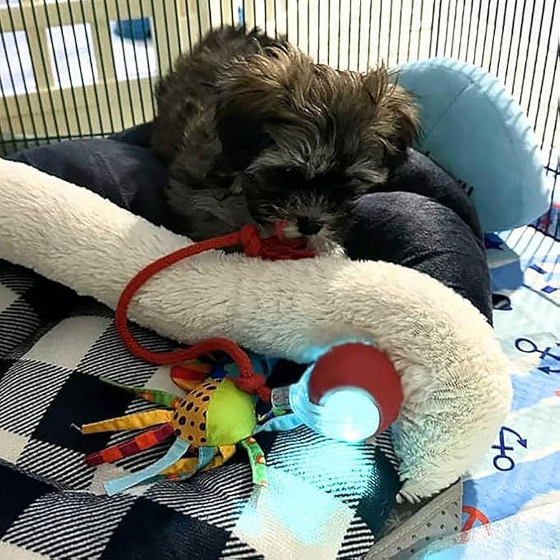 🐱 Udržování aktivity vašeho domácího mazlíčka 🐶 Inteligentní automatický kutálející se míč pro domácí mazlíčky