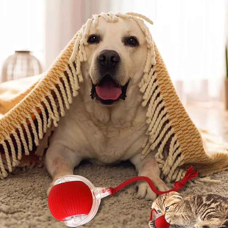 🐱 Udržování aktivity vašeho domácího mazlíčka 🐶 Inteligentní automatický kutálející se míč pro domácí mazlíčky