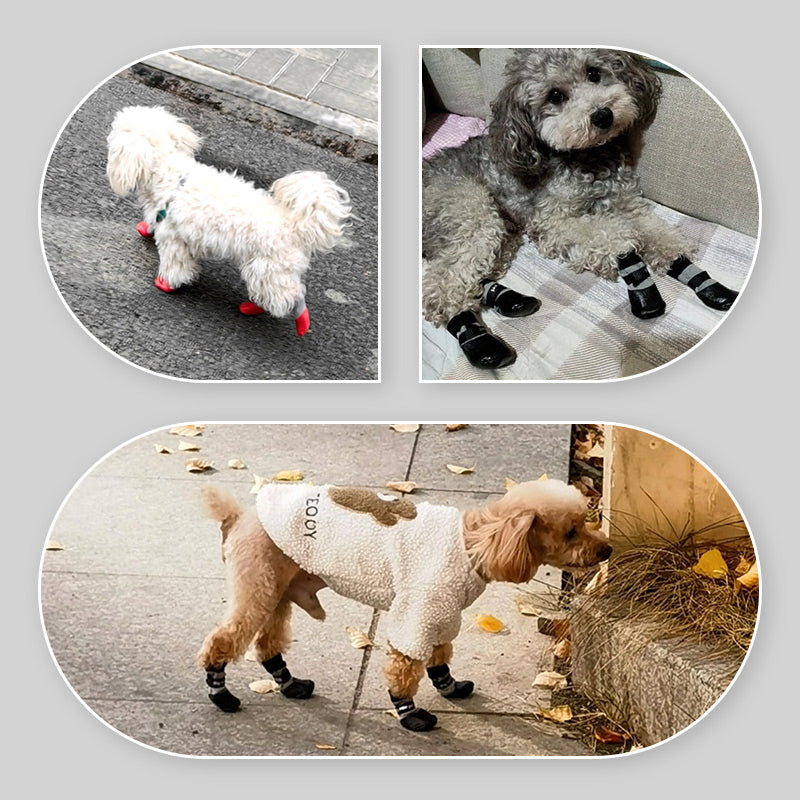 🐶2 páry protiskluzových voděodolných ponožek pro psy