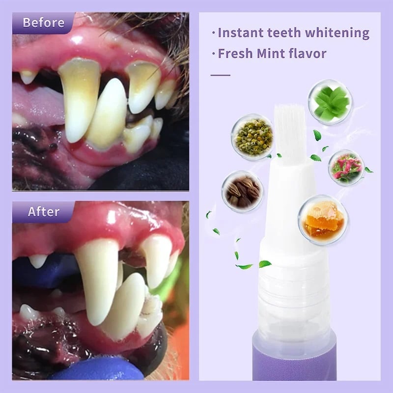 🌈Gel pro rekonstrukci dutiny ústní u domácích zvířat