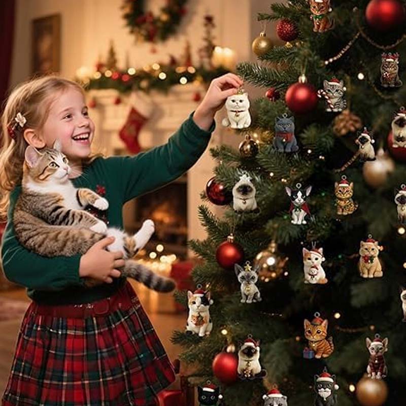 【🎁Vánoční nabídka🎄】Adventní kalendář pro milovníky koček na rok 2025