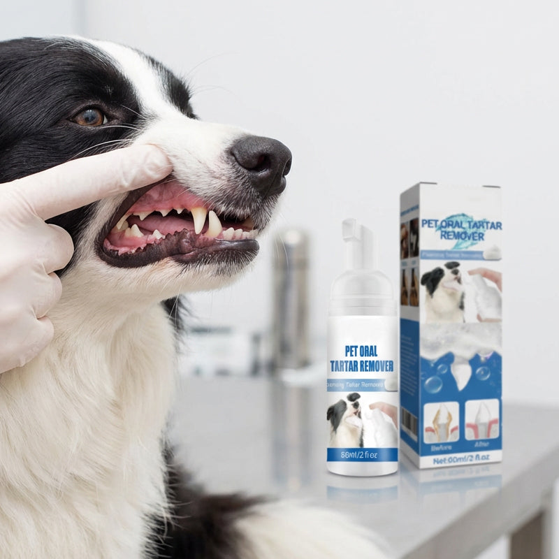 🎁 1+1 ZDARMA (2 ks)🐾 Pěna na odstraňování zubního kamene pro domácí mazlíčky – Snadná péče o ústní dutinu bez čištění zubů!